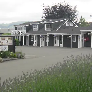 Mews Tauposee